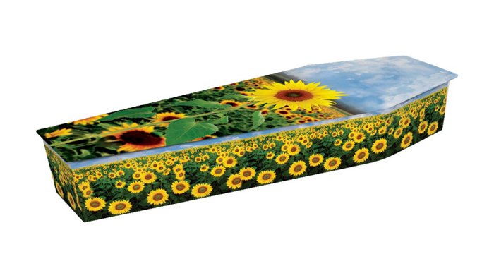 Coffin Daffodil Picture